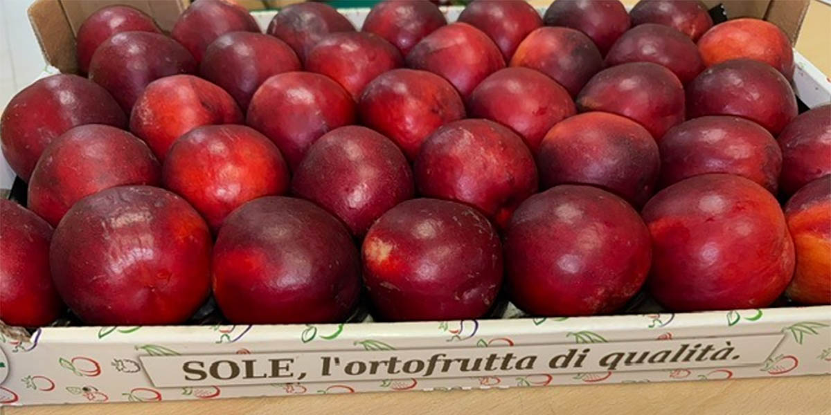 “Il piacere del gusto”: Coop Sole rilancia sulle drupacee e guarda al futuro